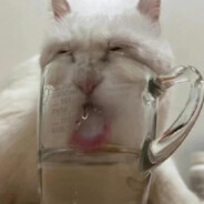 老人和小孩先下包