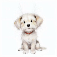 勇敢狗狗不怕困难