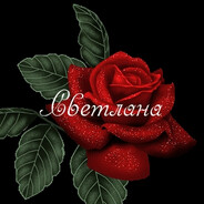 Света Шумовая