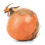 onion