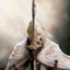 Tarnished