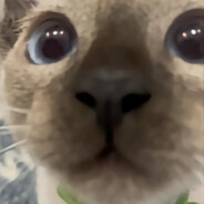 悲伤胡椒小馄饨