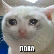 koshаrа_ya_Na{MiDy}