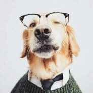 ——上等马分界线——