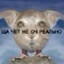 Avatar of player #Troll #GodIsHere #9mice