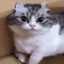 лабубу's avatar