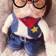 快递员来取件了喽！