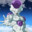 Freeza Now