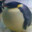 PerliousPenguin's avatar