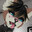 Johny The Deer