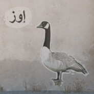 geeSe@Estas Tonne