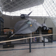 8岁退休养老打游戏_