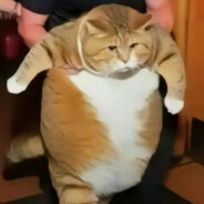 哨兵小姐，请再帮我一次