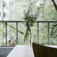 vlаdісkdіаnоff