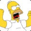 Homer
