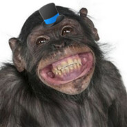 MrChimpance