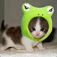 Kermit the OMEGA Frog