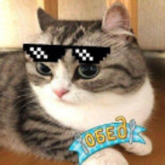 😺😹ChikiBanan🙀😽