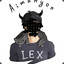 LexxZail's avatar