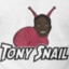 Tony Snailcum