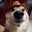 LocaKola's Avatar
