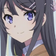 15号 禁止官匹与休闲