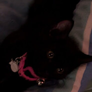 --DBG-- - steam id 76561198337347914