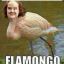 Flamongo