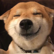 伯乐看了都说好马