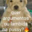 jajapo esteve aqui