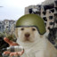 Noobito34