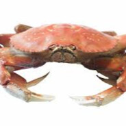 Crab