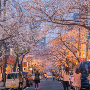 白给少年王德发