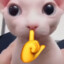 Andy