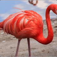 Красный Фламинго