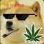 420 Doge It