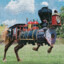 Train Horse