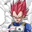 Super Saiyan God Vegeta