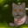 LMGYuwaku