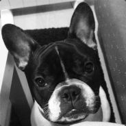 kados - steam id 76561197963427626