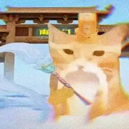 魔尊专养哈基咪