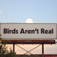 birds aren't real