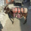 TURBO_ISHACK