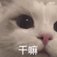 满目山河却唯独向往你