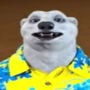 Ходилки Бродилки