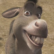 Donkey