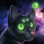 SpaceCatST