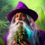 &#039;*WeeDWizarD*&#039;