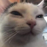six - steam id 76561197967064804