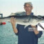 Seabass
